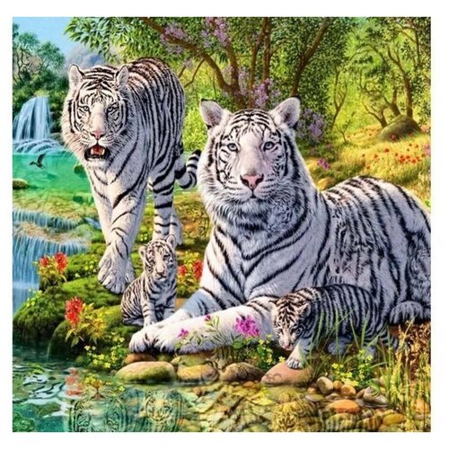 Molly Картина по номерам Семейство белых тигров30x30см
