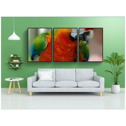 фото Набор модулных постеров для интерьера "ара, попугай, птица" 60x90 см. в тубусе, без рамки lotsprints