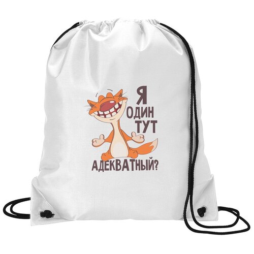 фото Сумка для обуви coolpodarok я один тут адекватный (кот)