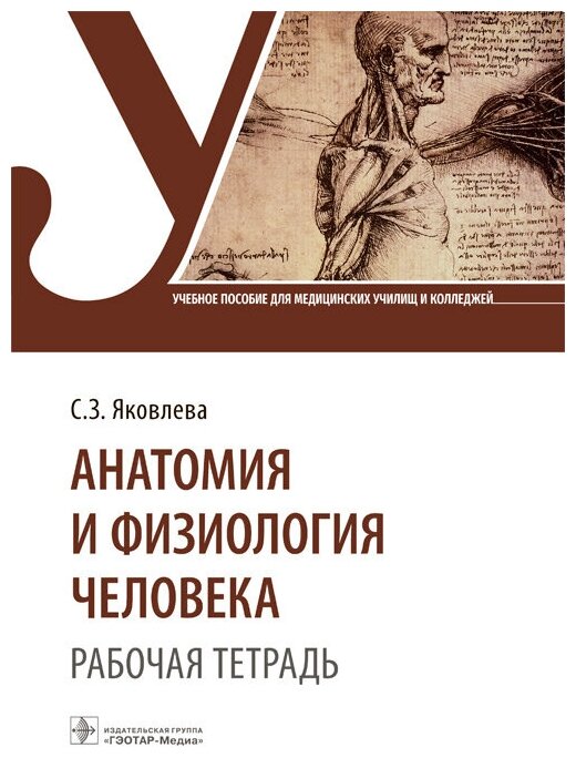 Анатомия и физиология человека Рабочая тетрадь Учебное пособие - фото №1