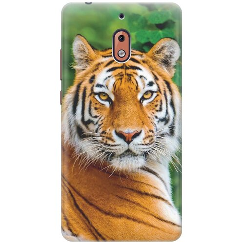 фото Re:pa накладка transparent для nokia 2.1 с принтом "портрет тигра"