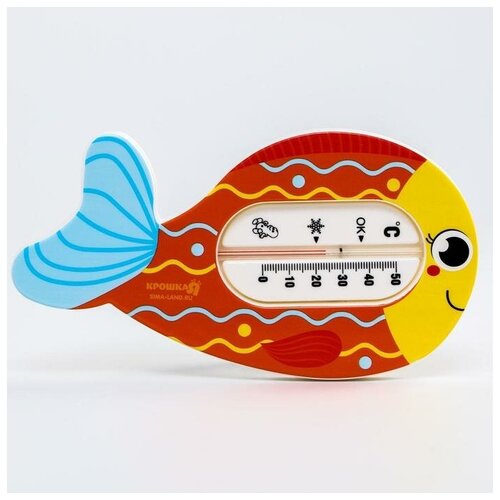 Термометр для измерения температуры воды, детский «Рыбка»