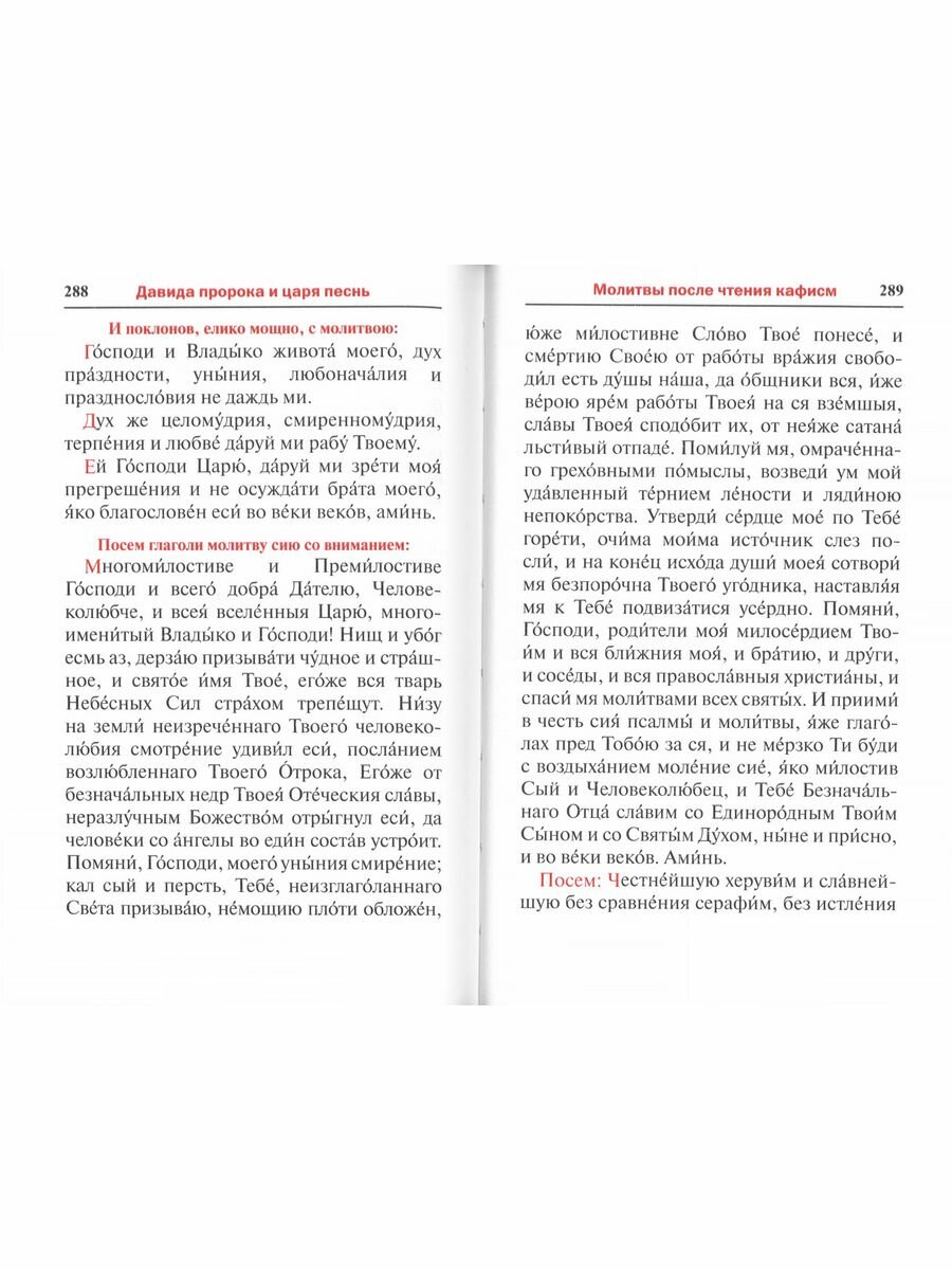 Псалтирь. Заупокойная лития мирским чином. Иные молитвословия - фото №10