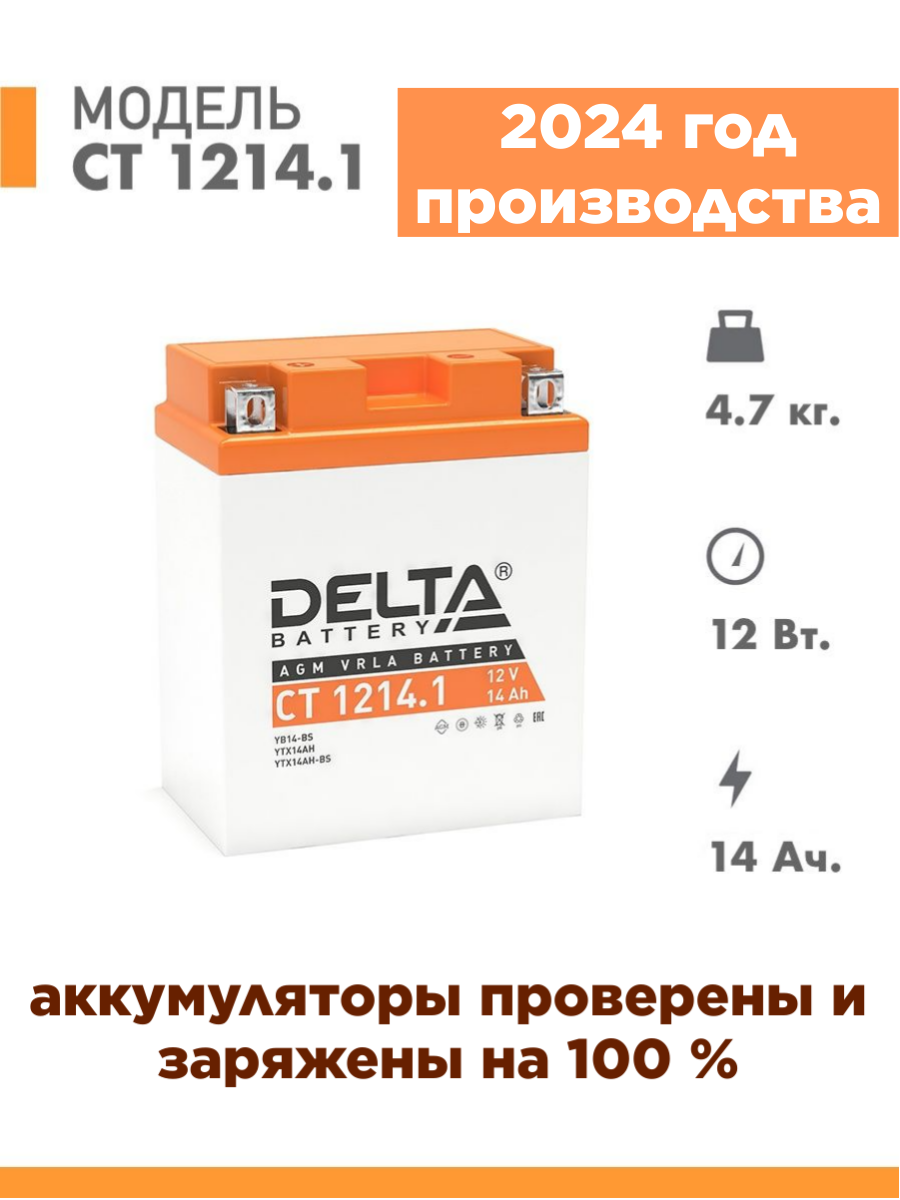 Аккумуляторная батарея DELTA - фото №4