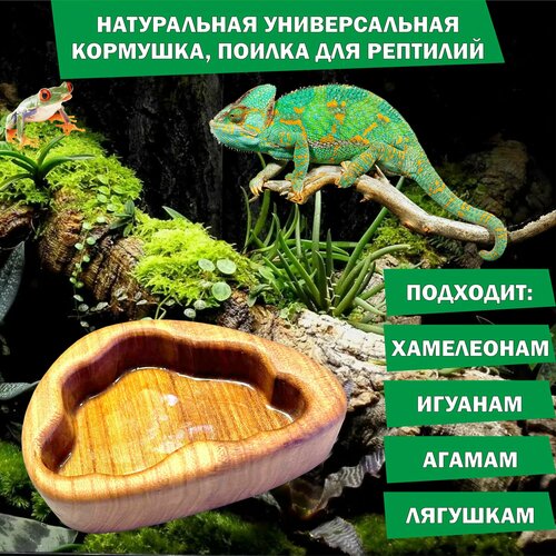 Кормушка поилка для террариумов 14х9,5х4 см/ натуральная кормушка для ящериц, игуан, хамелеонов, лягушек