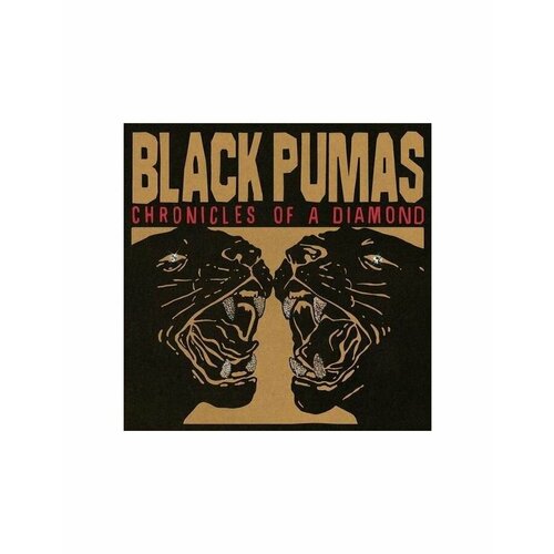 Виниловая пластинка Black Pumas, Chronicles Of A Diamond (coloured) (5400863146177) miss read mrs pringle of fairacre