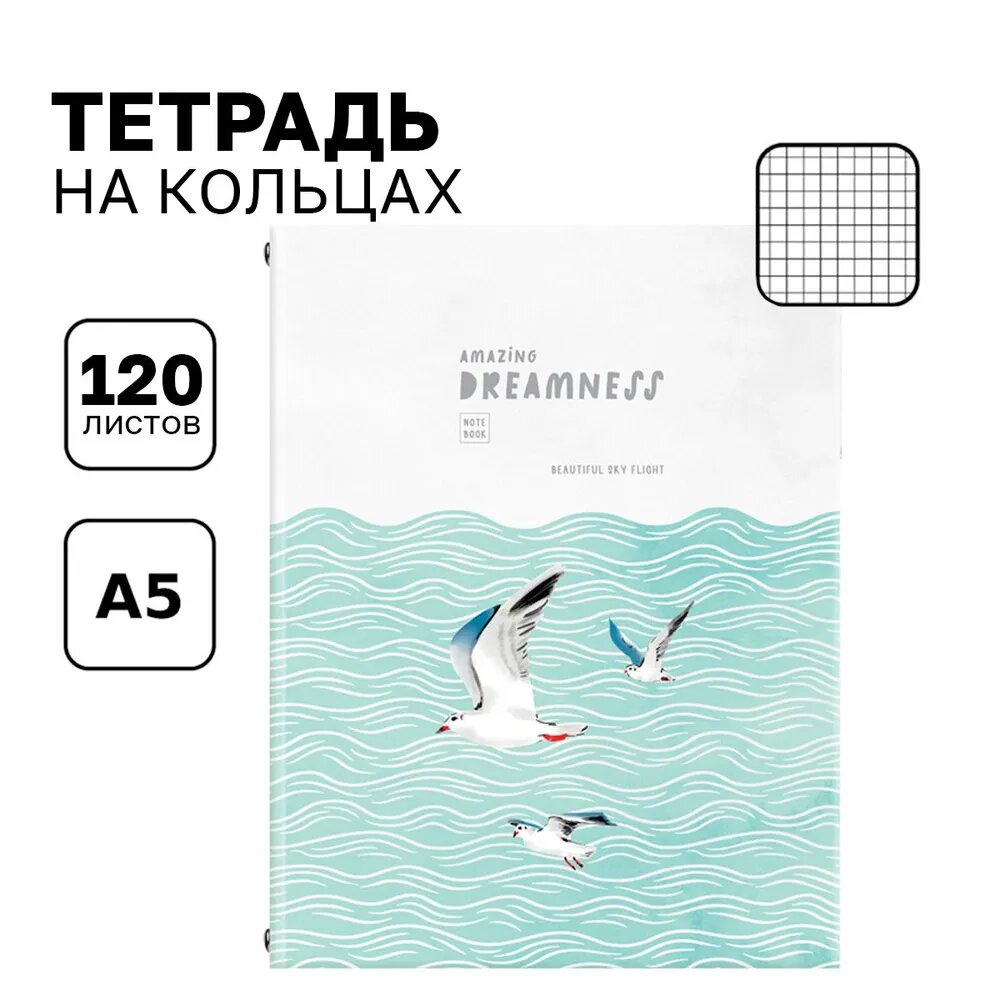 Тетрадь на кольцах А5 со сменным блоком 120 листов в клетку BG "Красивый полет", с твердой обложкой для учебы / записная книжка, бизнес-блокнот