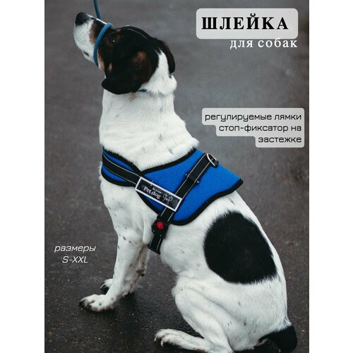 Шлейка для собак анатомическая, размер XXL, для крупных, средних и мелких пород средних и мелких пород