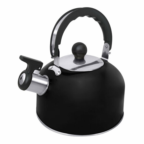 HOME ELEMENT HE-WK1603B черный матовый чайник со свистком