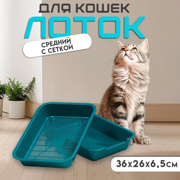 Туалет перламутровый средний с сеткой 36×26×6.5 см бирюзовый