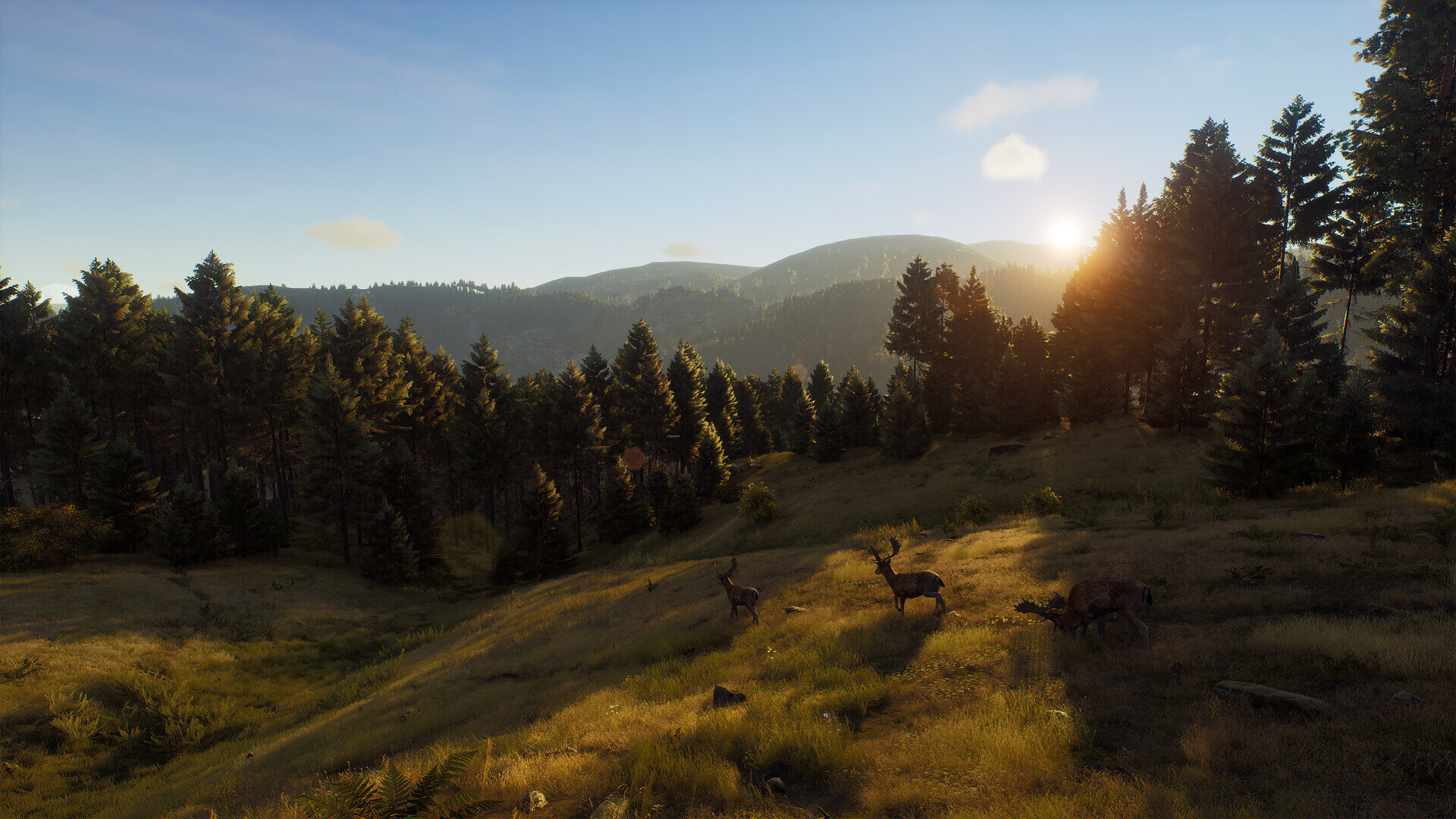 Way of the Hunter Elite Edition | Steam | РФ + СНГ — фото 1