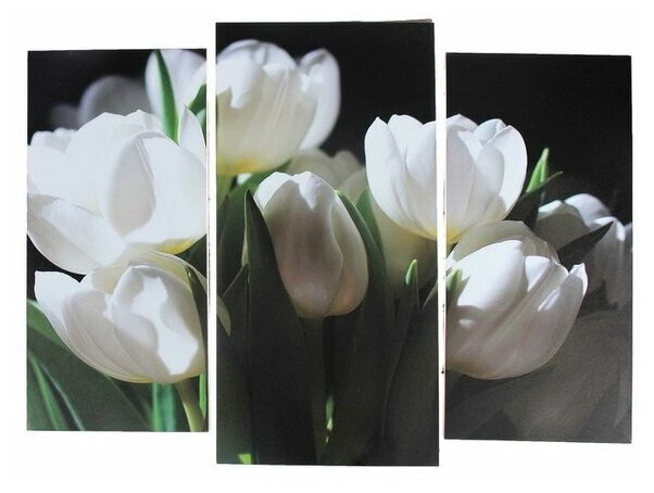 Модульная картина "Белые тюльпаны"