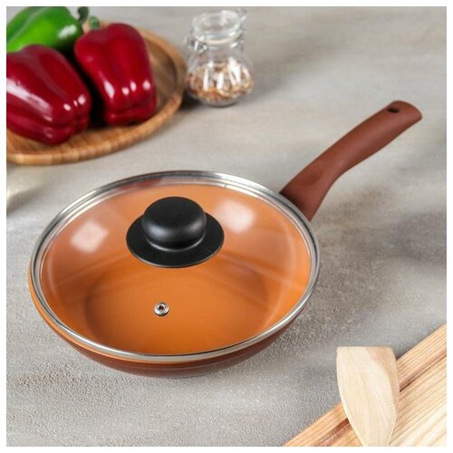 фото Naturepan сковорода 20 см «ceramic induction», с крышкой