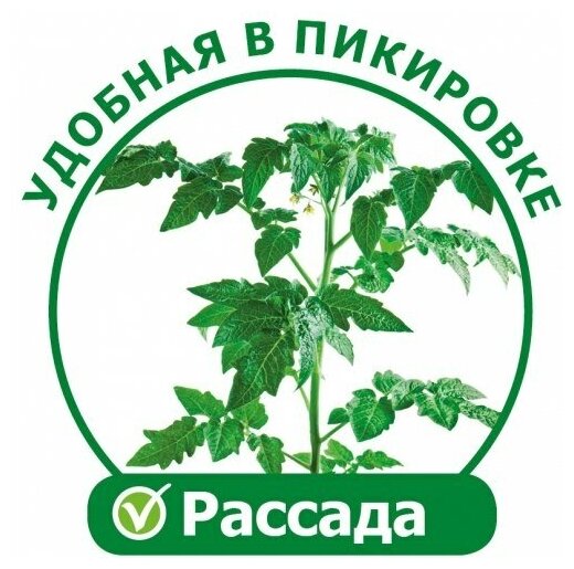 Аэросад Здоровья Клад чудо грядка X1 original проращиватель семян и косточек