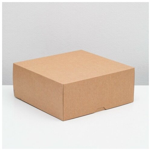 Упаковка для продуктов, 25,5 х 25,5 х 10,5 см, 6 л