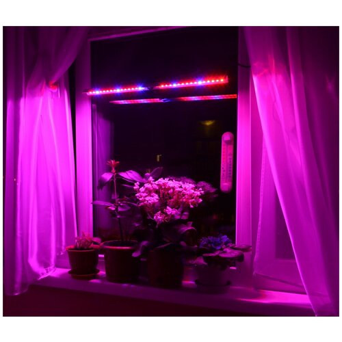 Светильник на присоске для растений (рассады, цветов и др.) на подоконнике 