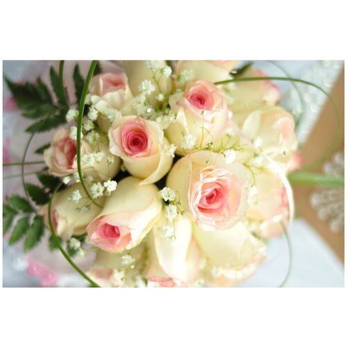 Фотообои Уютная стена Бело-розовые розы 410х270 см Виниловые Бесшовные (единым полотном)