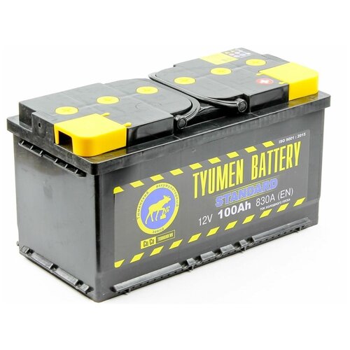 Автомобильный аккумулятор TYUMEN Battery STANDART 6CT-100.0 LR