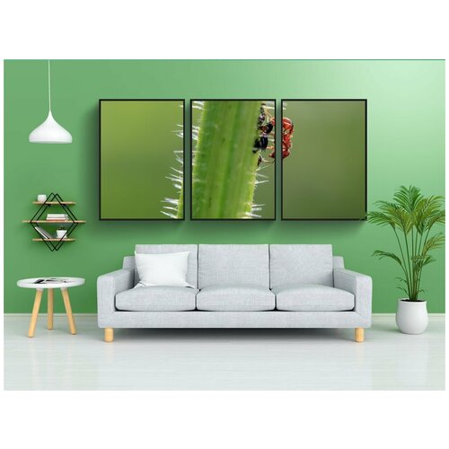 фото Набор модулных постеров для интерьера "коричневые wegameise, lasius brunneus, муравей" 60x90 см. в тубусе, без рамки lotsprints