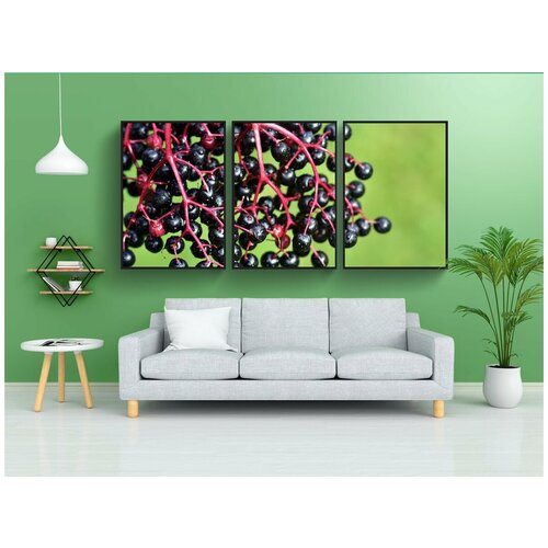 фото Набор модулных постеров для интерьера "старейшина, спелый, ягода" 60x90 см. в тубусе, без рамки lotsprints