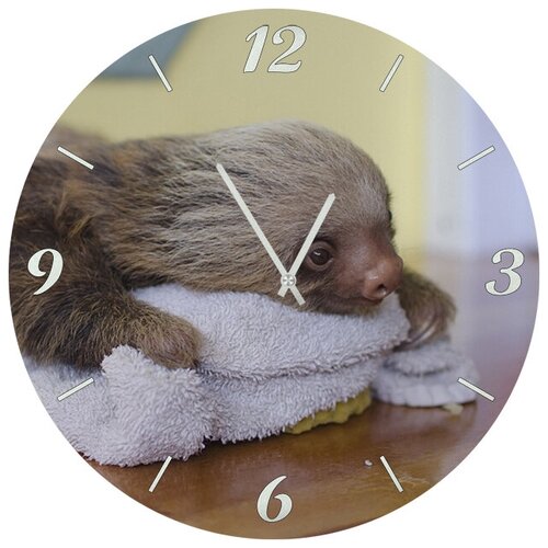 фото Svs настенные часы svs 4001845 ленивец на полотенце