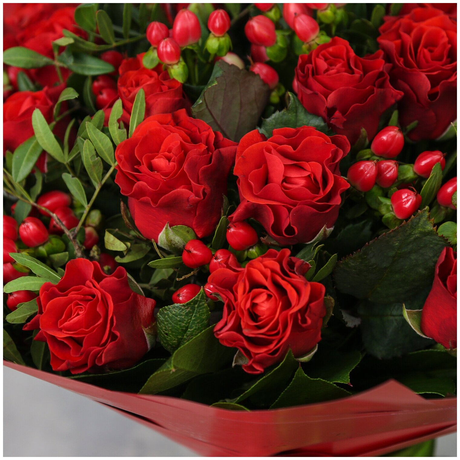 Цветы живые букет из красных роз, гиперикума в дизайнерской упаковке "Красная страсть"