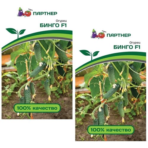 Семена Огурец Бинго F1 /Агрофирма Партнер/ 2 упаковки по 5 семян
