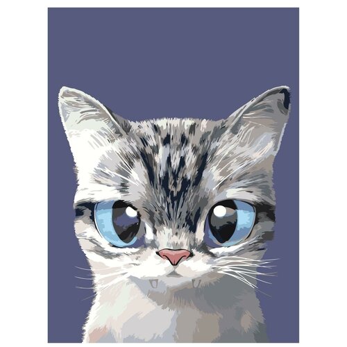 Картина по номерам, Живопись по номерам, 30 x 40, A577, котёнок, голубые глаза, питомец, животные, маленький, милый картина по номерам живопись по номерам 30 x 40 a573 рыжий котёнок животное голубые глаза милый рисунок