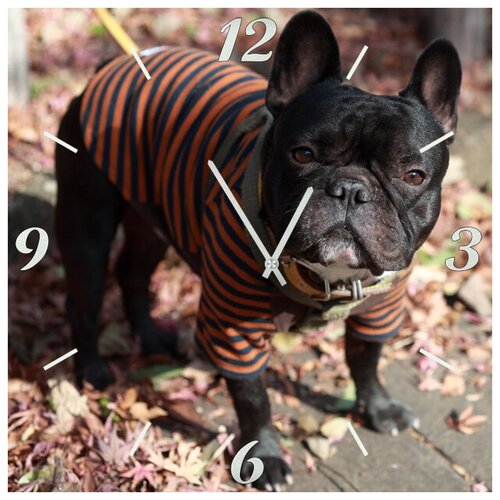 фото Svs настенные часы svs 4001864 пес в тельняжке