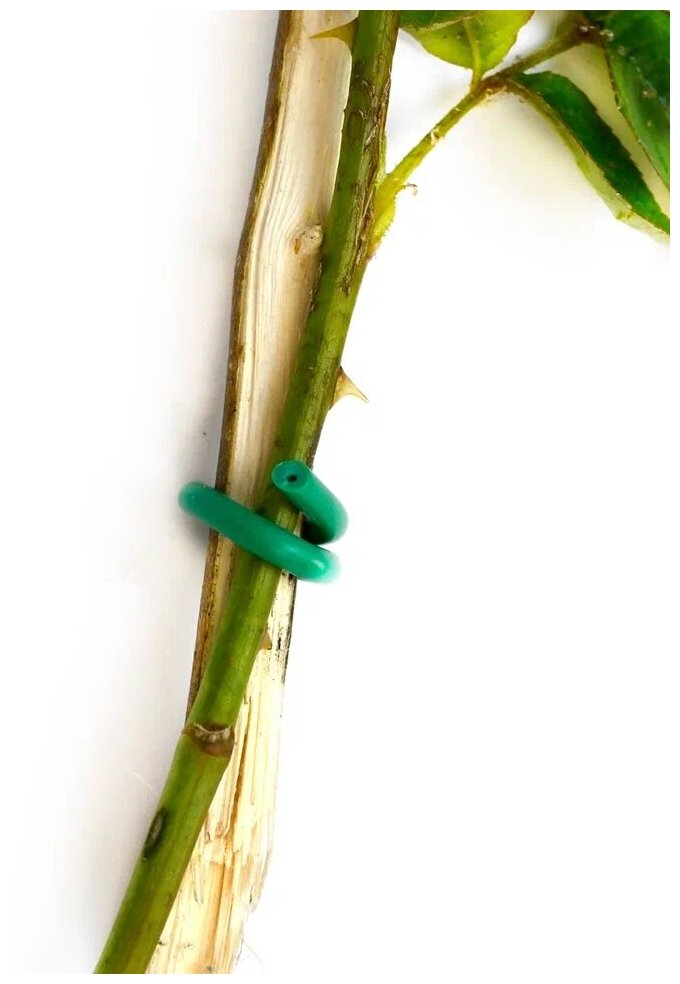 Проволока для подвязки растений и цветов Кембрик подвязка садовых растений d 2,2 мм - 5 метров - фотография № 5