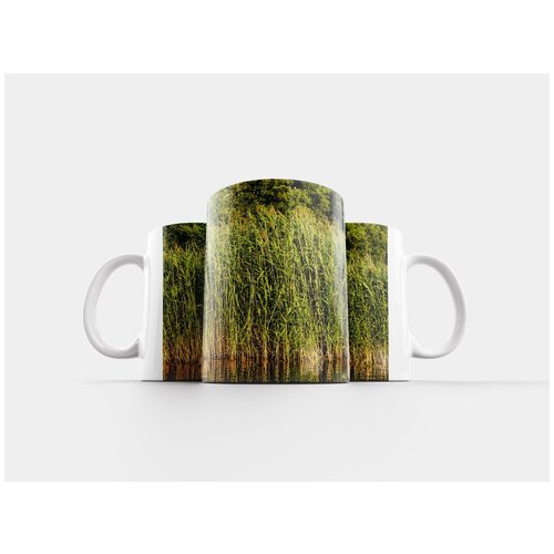 фото Кружка "тростник, озеро, вода" 320 мл lotsprints