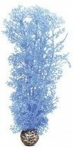 Синий морской веер, средний, Sea fan medium blue