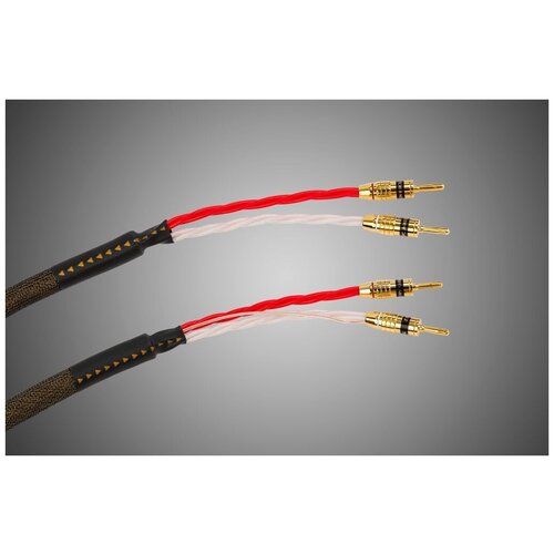 Tchernov Cable Reference DSC SC BnBn 265 m 20999000₽