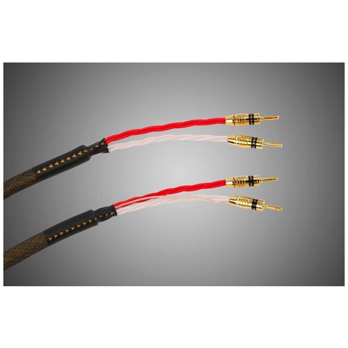 кабели межблочные аудио tchernov cable ultimate dsc ic xlr 1 65 m Tchernov Cable Reference DSC SC Bn/Bn (2.65 m)