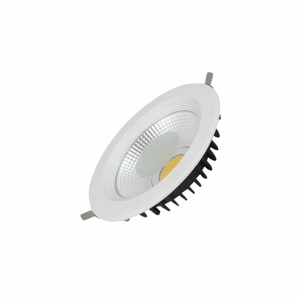 Встраиваемый светильник Foton Lighting Акцентный DLA 30W 4200K D220xd200x50 30W 2600Lm круглый, уп. 1шт