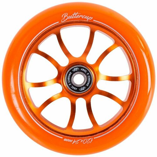    X-Treme 120*24, Buttercup, orange