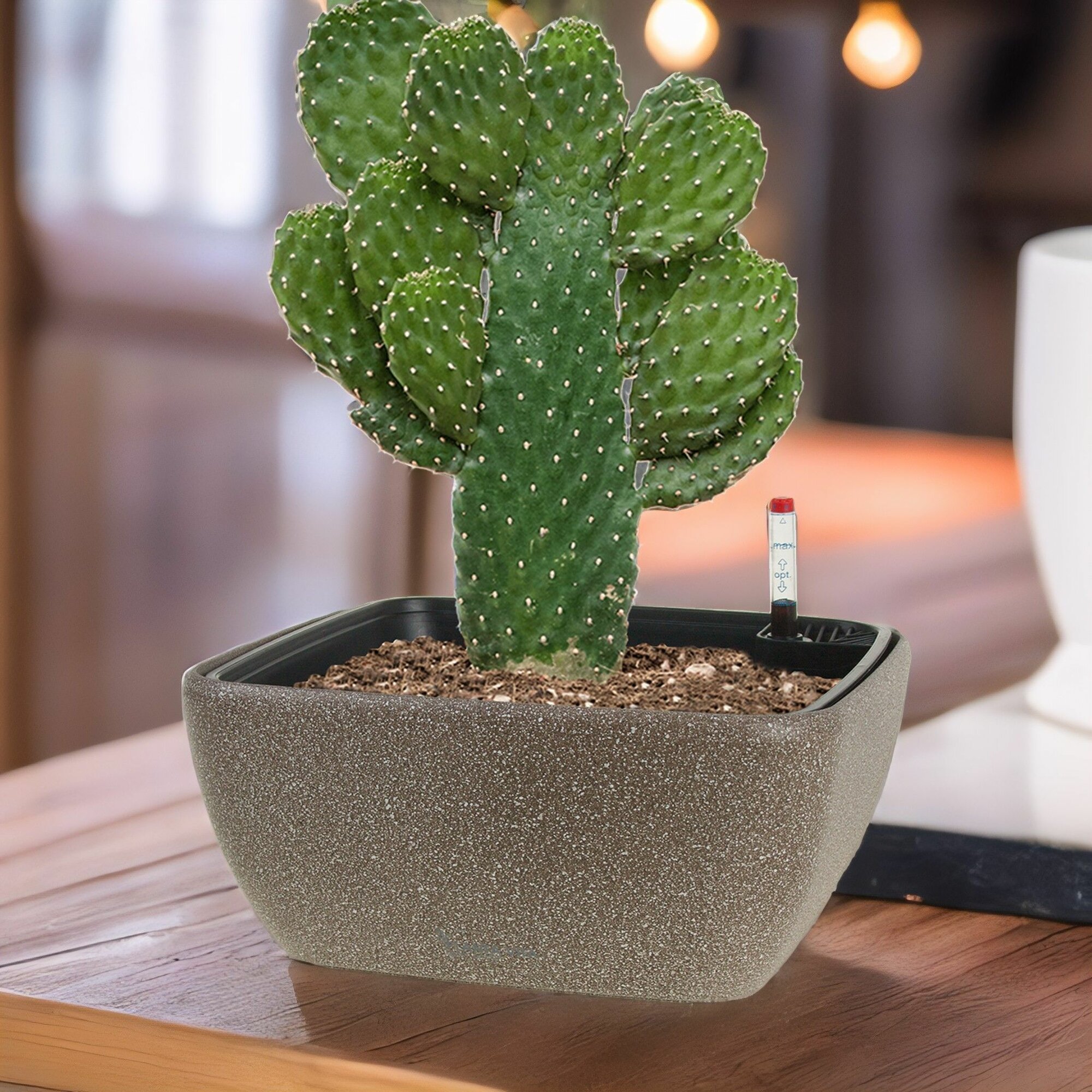 фото Кашпо PLANTA VITA "Square Stone brown" с автополивом (пластик), 28х28хH12 см