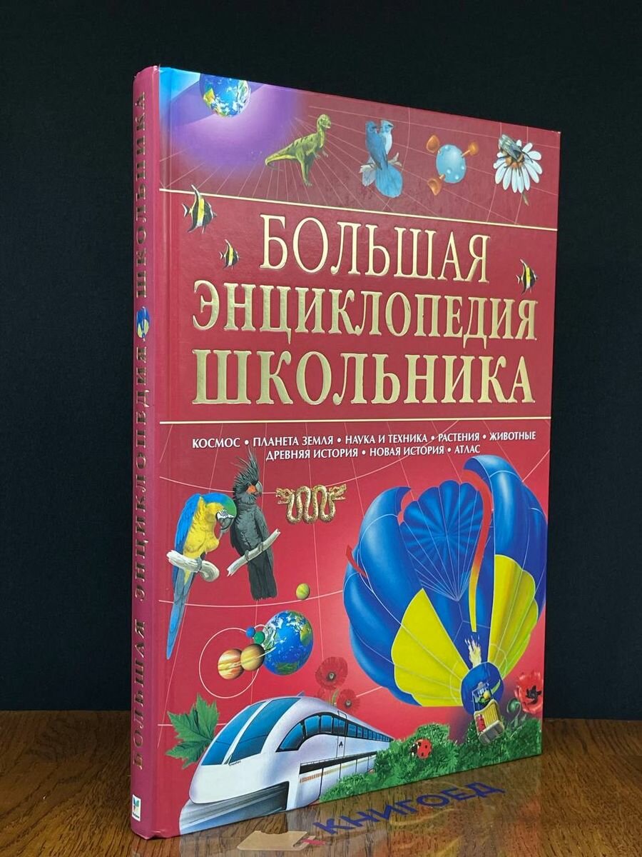 Большая энциклопедия школьника 2007