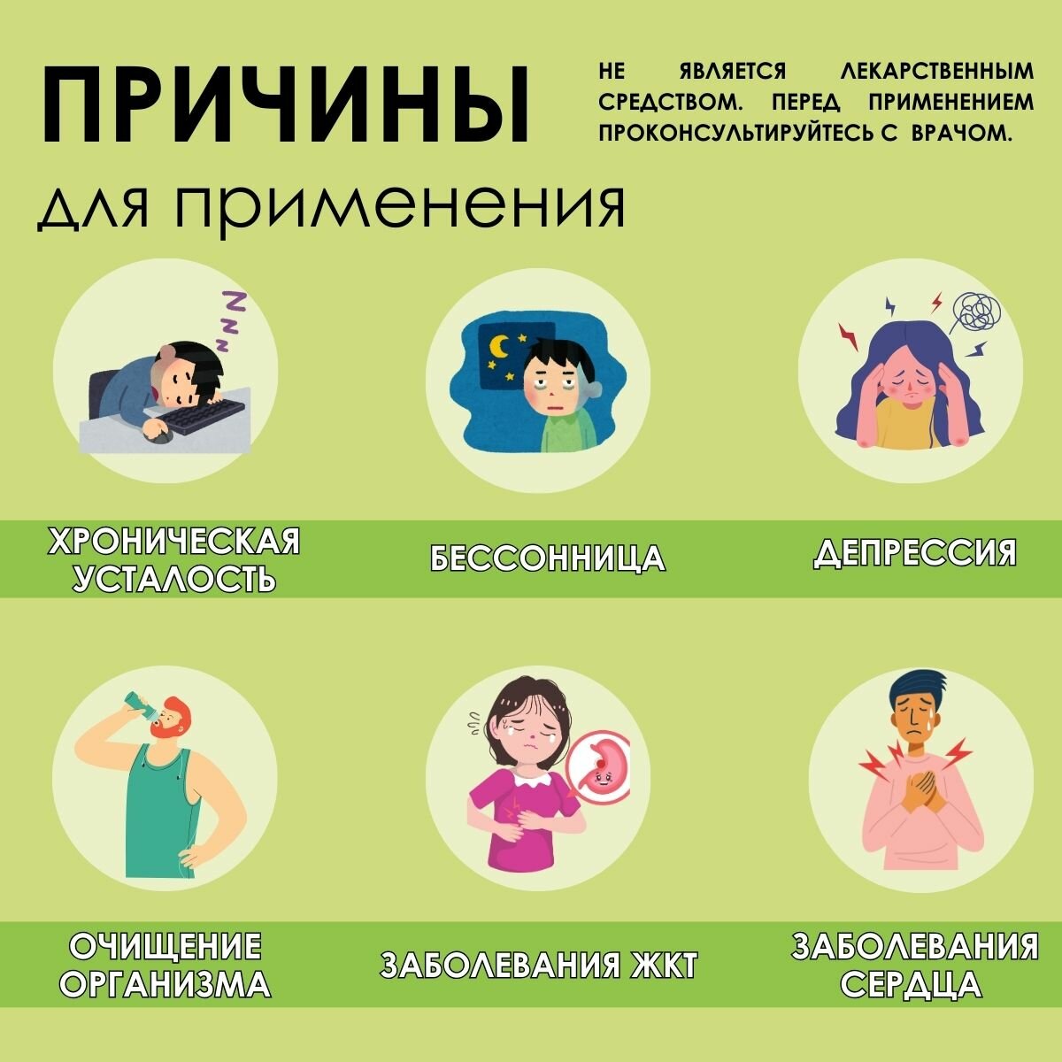 Изображение Гриб ежовик "Фито-Аптекарь" - для активной работы мозга, цельный 1 кг