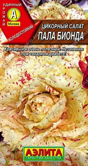 Салат цикорный Пала Бионда ( 3 упаковки семян )