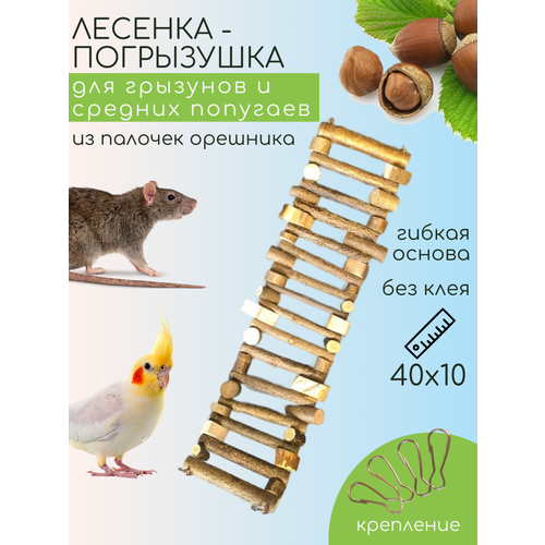 Лесенка погрызушка деревянная для грызунов и средних попугаев и птиц 40х10 см