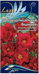 Семена Ваше Хозяйство Портулак крупноцветковый Вишневый Подходит для выращивания на балконах и подоконниках Очаровательный однолетник с изящными цветками высотой до 20см. Растение со стелющимися сочными светло- зелеными стеблями. Цветки вишневые, диаметром 4-5см, полностью открытые только в ясную солнечную погоду. Растение тепло- и солнцелюбивое, засухоустойчивое. Цветет с июня до заморозков. Используют в цветниках, для балконных ящиков, ковровых клумб и каменистых горок. 0,2гр.