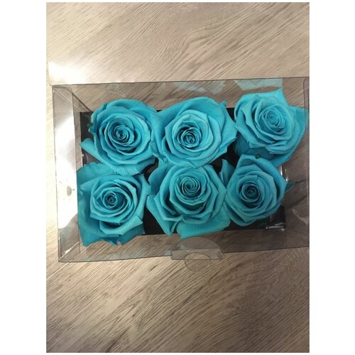 Стабилизированные розы/Optimum/Голубой цвет
