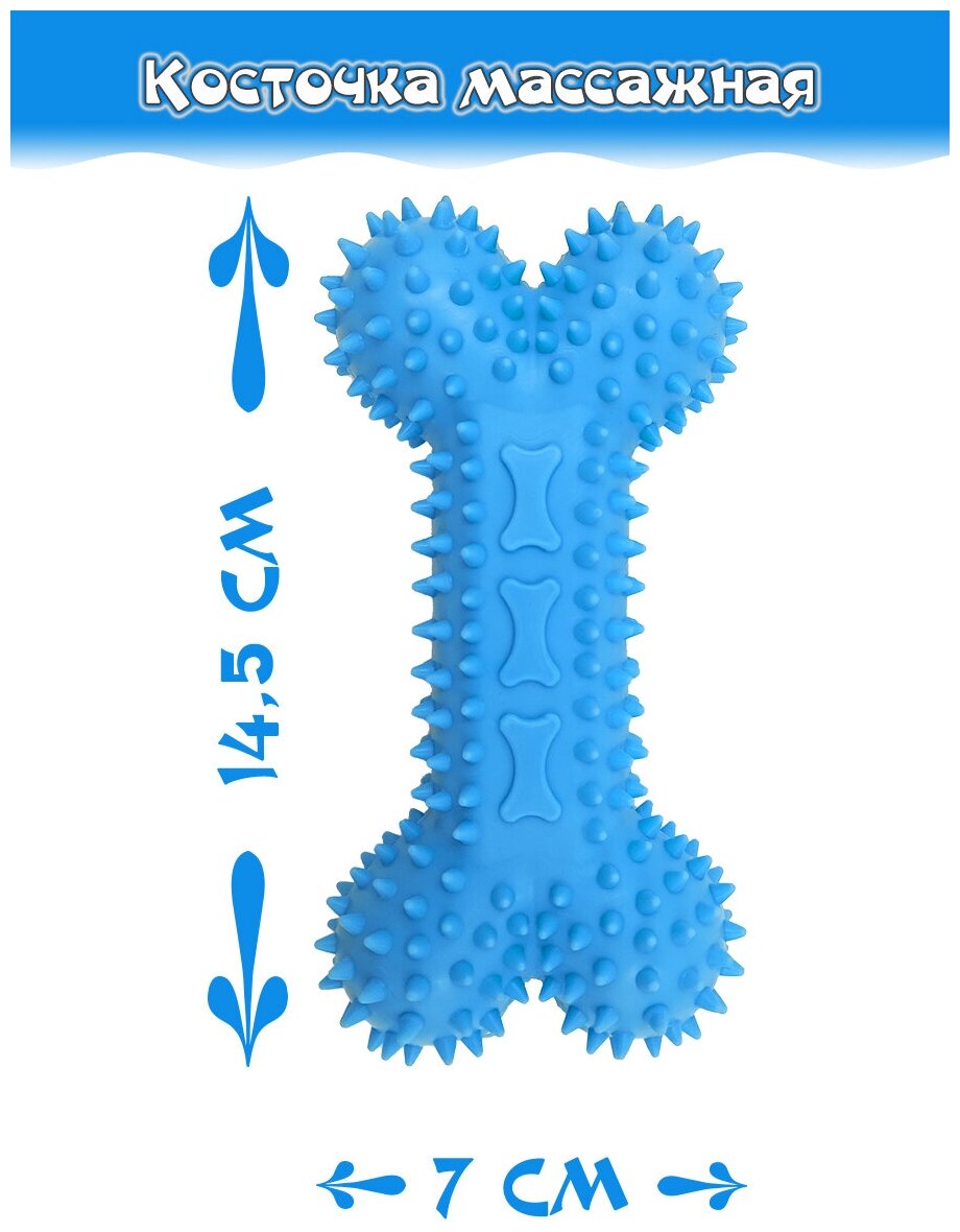 Косточка массажная / Игрушка жевательная - фотография № 1