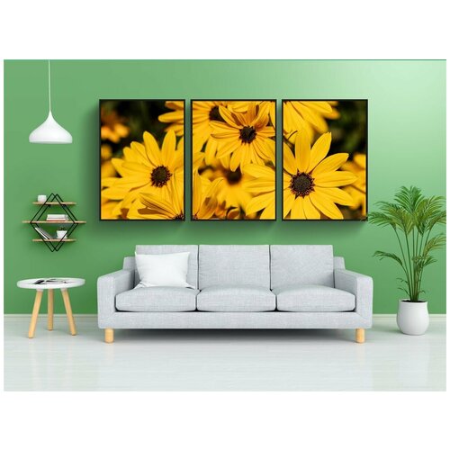 фото Набор модулных постеров для интерьера "маргаритка, цветок, цвести" 60x90 см. в тубусе, без рамки lotsprints