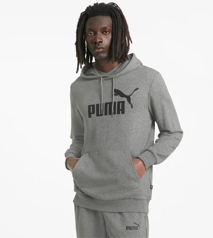 Толстовка PUMA Essentials Big Logo Men’s Hoodie