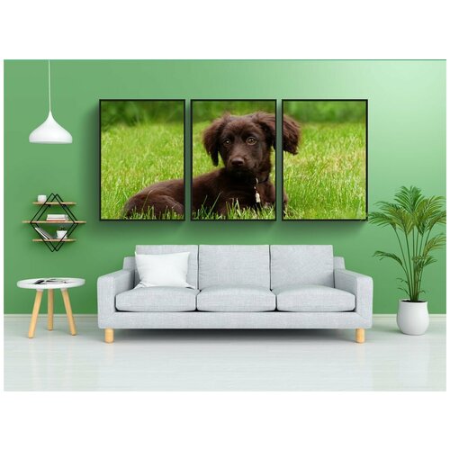 фото Набор модулных постеров для интерьера "животное, собака, семейная собака" 60x90 см. в тубусе, без рамки lotsprints