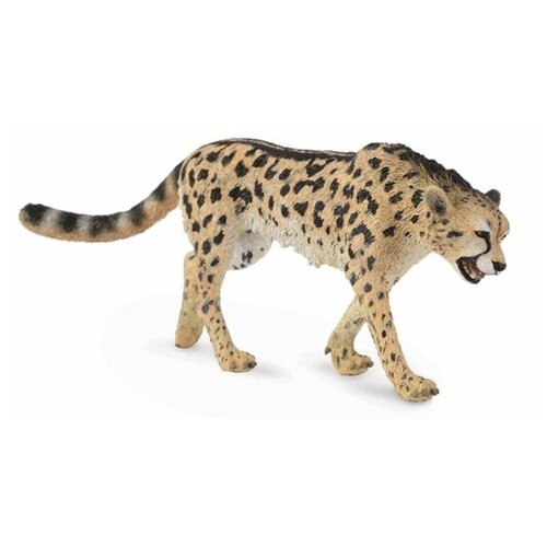 Фигурка Collecta Королевский гепард 88608, 5 см фигурка collecta кот сиамский потягивающийся 88332 5 5 см