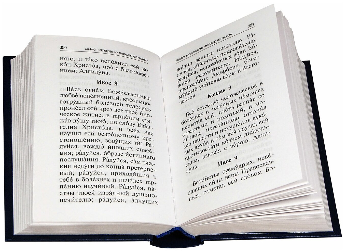 Акафисты читаемые в болезнях, скорбях и особых нуждах - фото №4