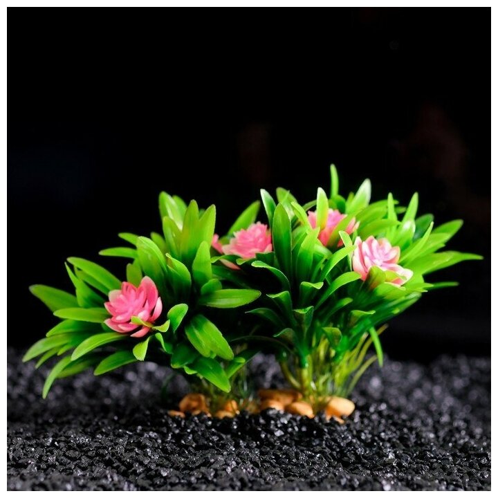 Пижон Аква Растение искусственное аквариумное, 20 х 12 х 11 см, - фотография № 2